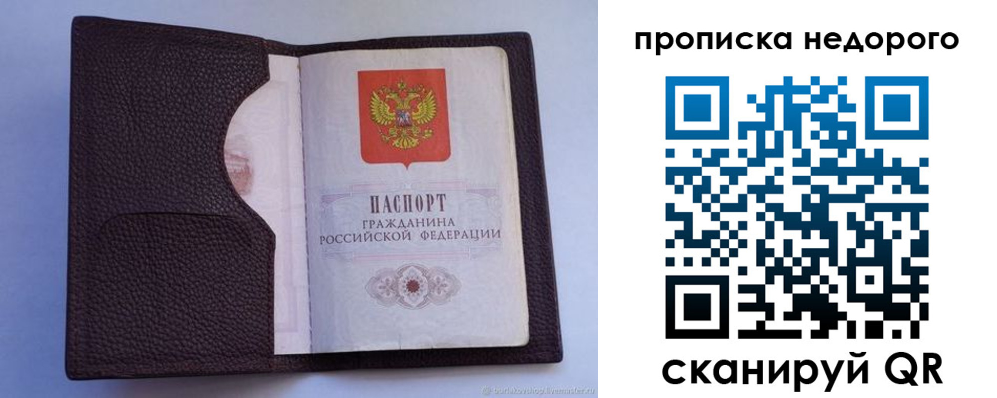 прописка законно в Светлом
